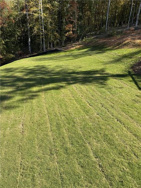 Natural landscape and outdoor views near Savoy Park in Covington (Image 35).