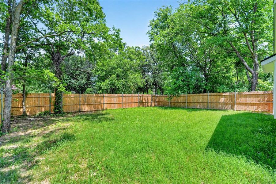Expansive backyard featuring a natural wood privacy fence, mature trees providing natural shade, and a broad grassy area