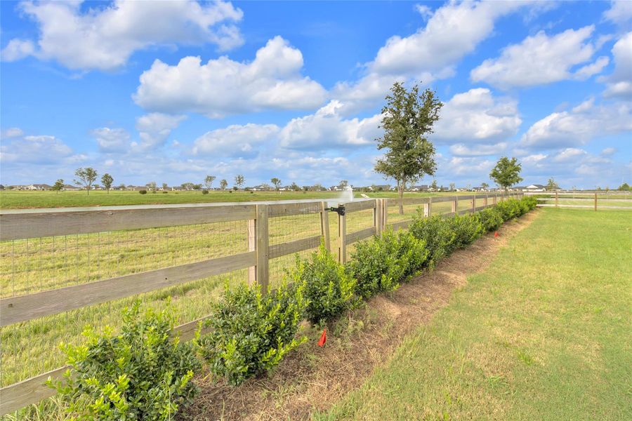 Natural landscape and outdoor views near Lakeview in Waller (Image 39).