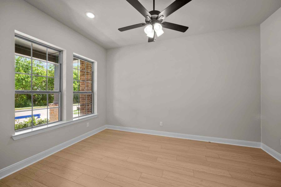 The Blanco - Study The Blanco - Study