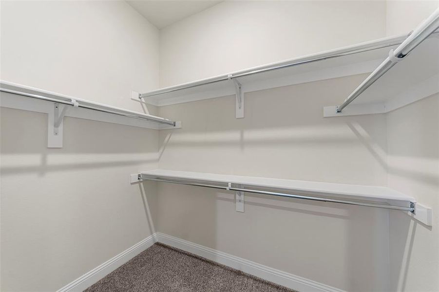 Walk in closet with dark colored carpet Walk in closet with dark colored carpet