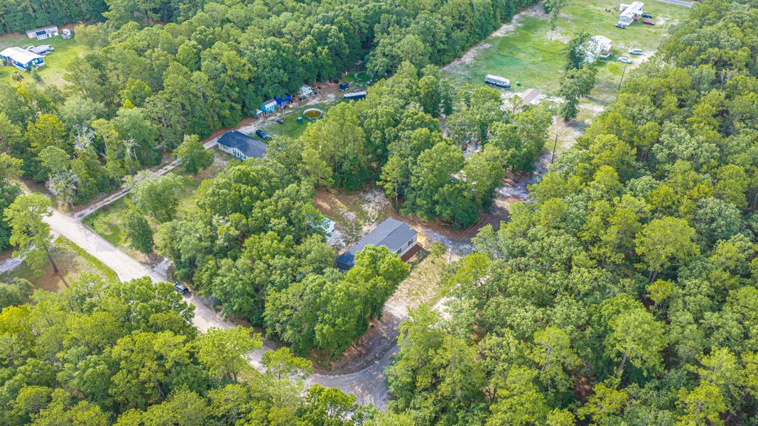 Natural landscape and outdoor views near  in Walterboro (Image 61).
