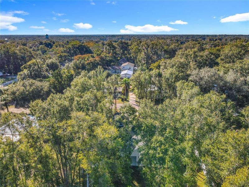 Natural landscape and outdoor views near in Lake Helen (Image 37). Natural landscape and outdoor views near in Lake Helen (Image 37).
