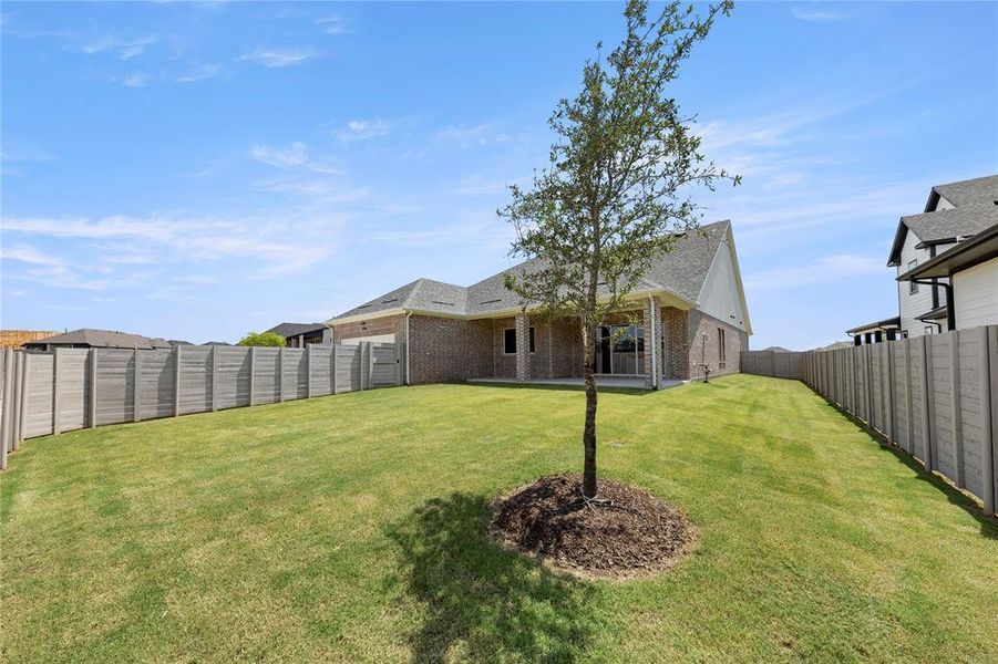 CASSANDRA - B_Rear Elevation 2