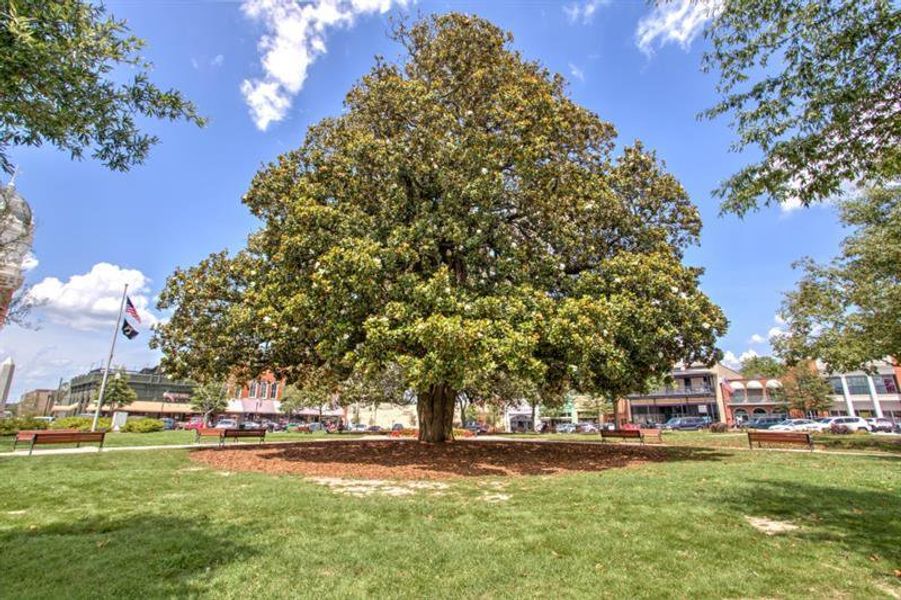 Natural landscape and outdoor views near Savoy Park in Covington (Image 13).