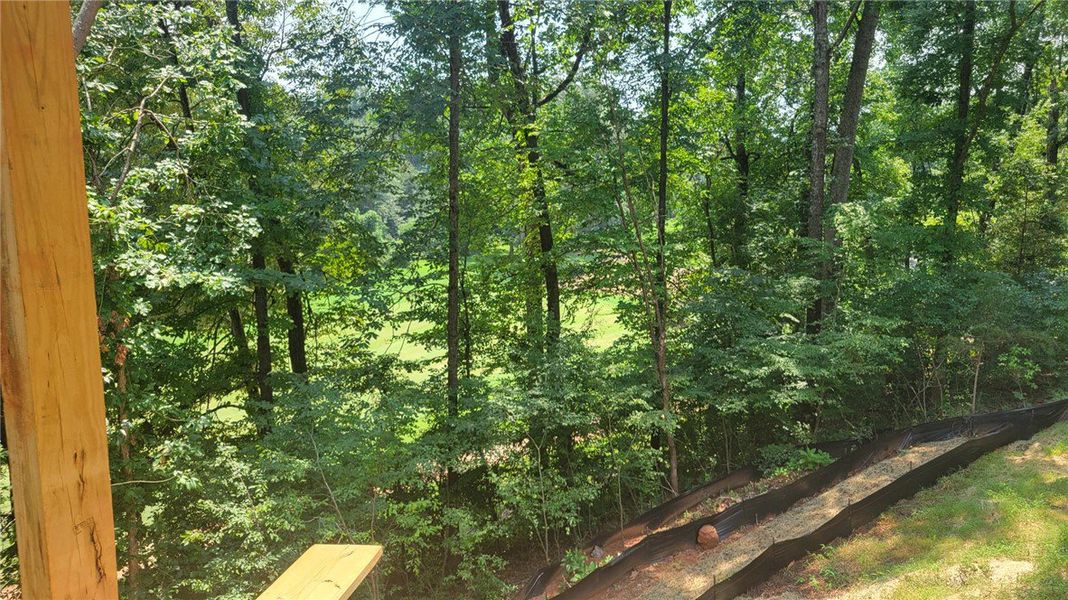 A verdant woodland view provides a serene, natural A verdant woodland view provides a serene, natural