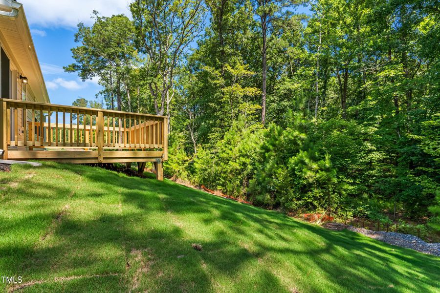 25_dsc08972 25_dsc08972