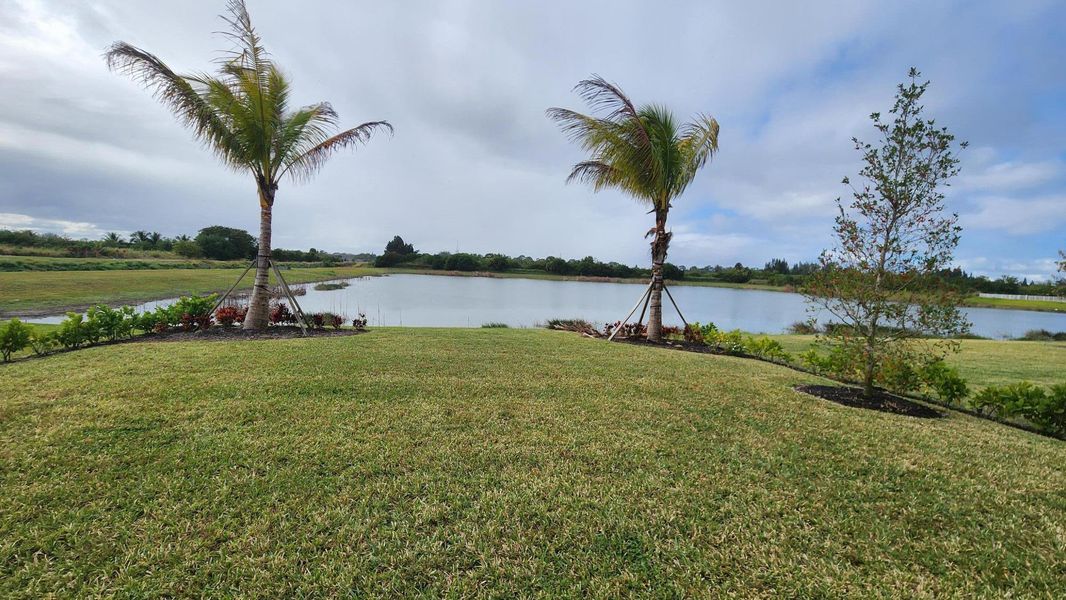 Natural landscape and outdoor views near  in Fort Pierce (Image 31).