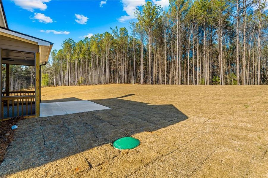 Exterior details and patio area of a home in Red Oak Ridge, Loganville (Image 17).