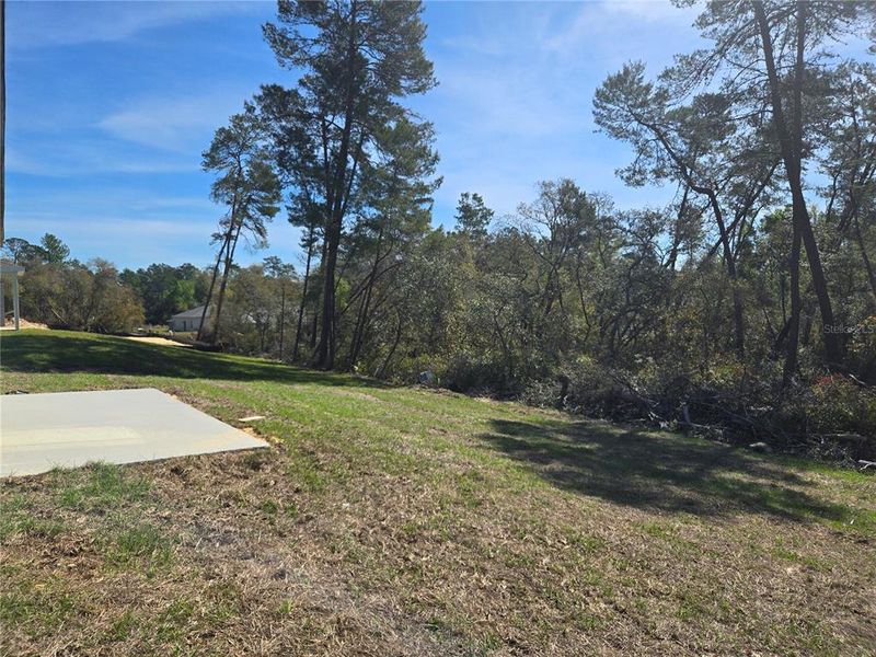 Natural landscape and outdoor views near  in Ocala (Image 38).