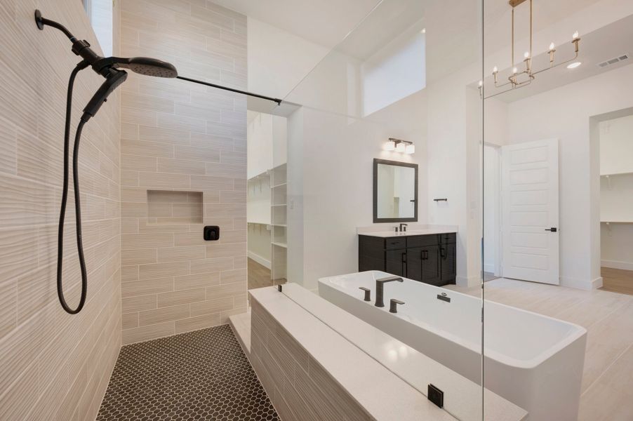 Owner's Bath