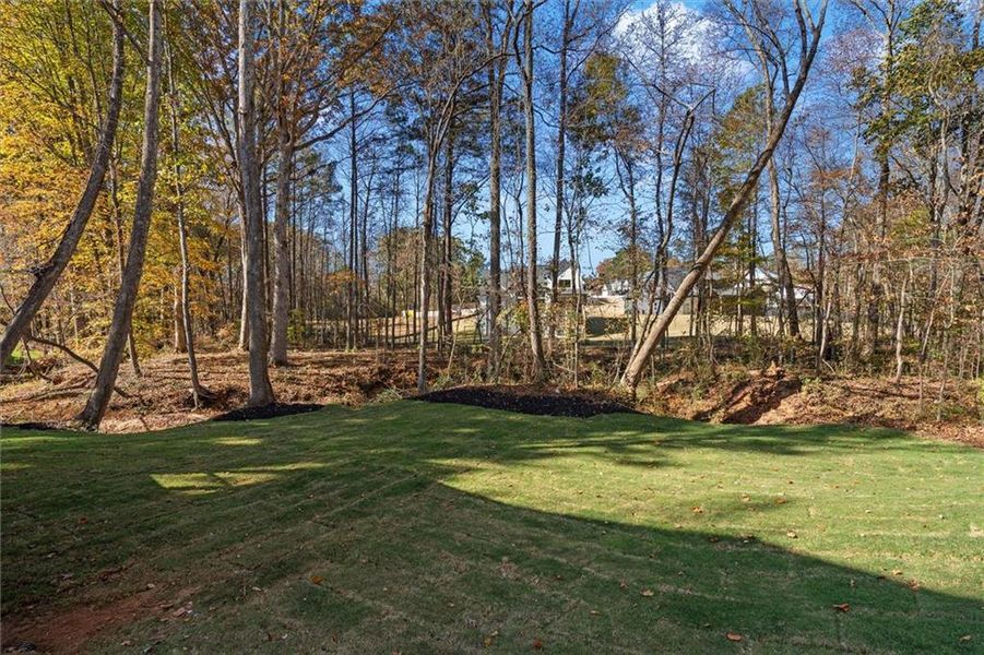 Natural landscape and outdoor views near  in Villa Rica (Image 52).