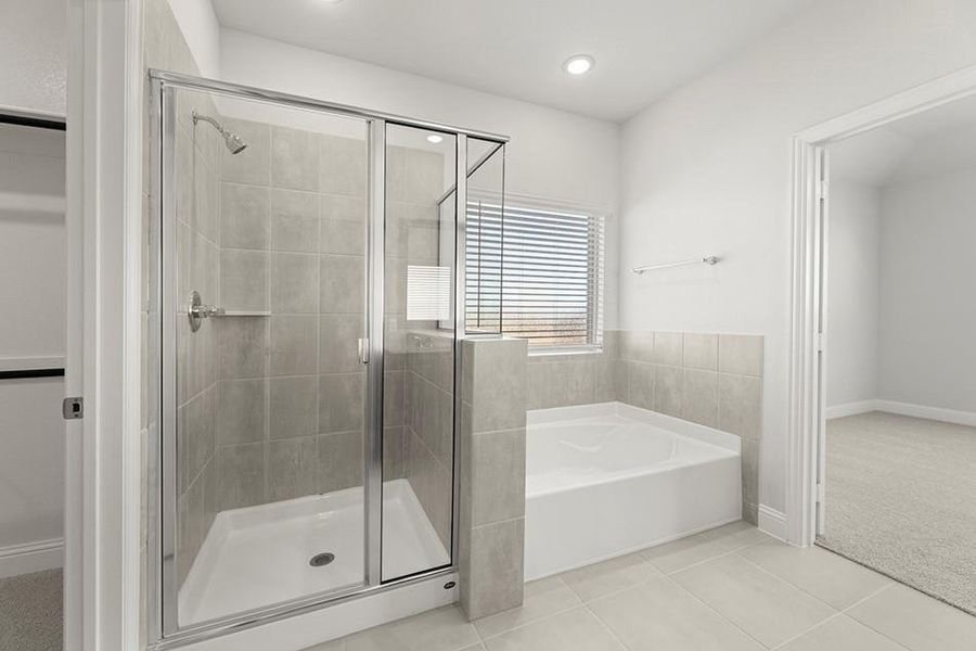 InteriorImage 11 InteriorImage 11