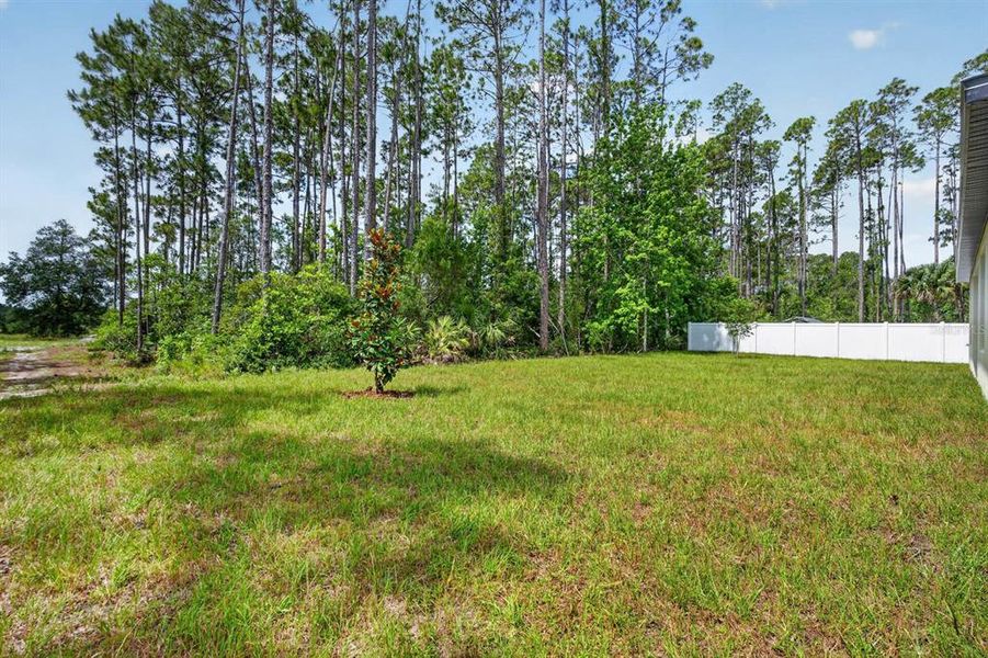 Natural landscape and outdoor views near in Palm Coast (Image 36). Natural landscape and outdoor views near in Palm Coast (Image 36).