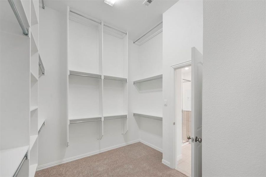 Walk in closet featuring light carpet