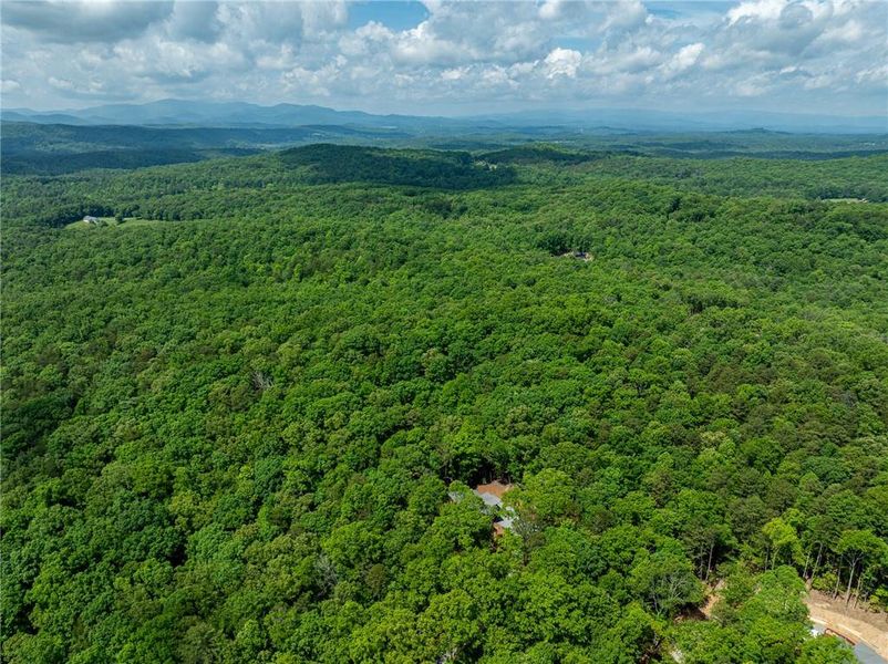 Natural landscape and outdoor views near  in Morganton (Image 34).