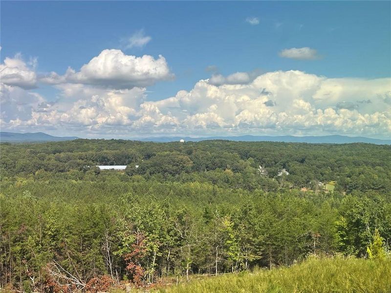 Natural landscape and outdoor views near Horizon at Laurel Canyon in Canton (Image 28).