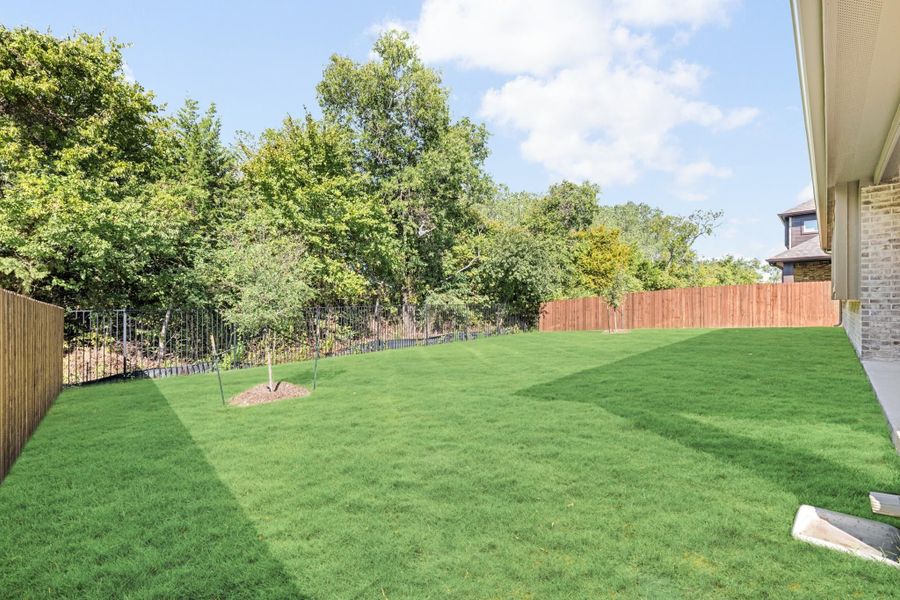 Spacious backyard with green lawn, young tree, wood privacy fence, and mature trees along the border.