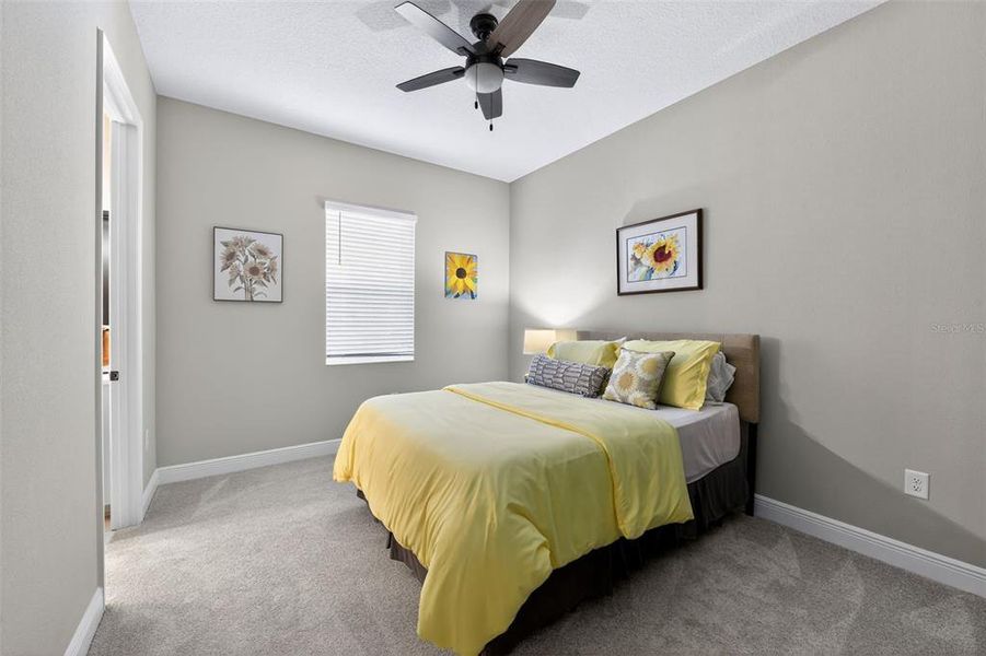 Furnished interior view inside a new home in , Sarasota (Image 13).