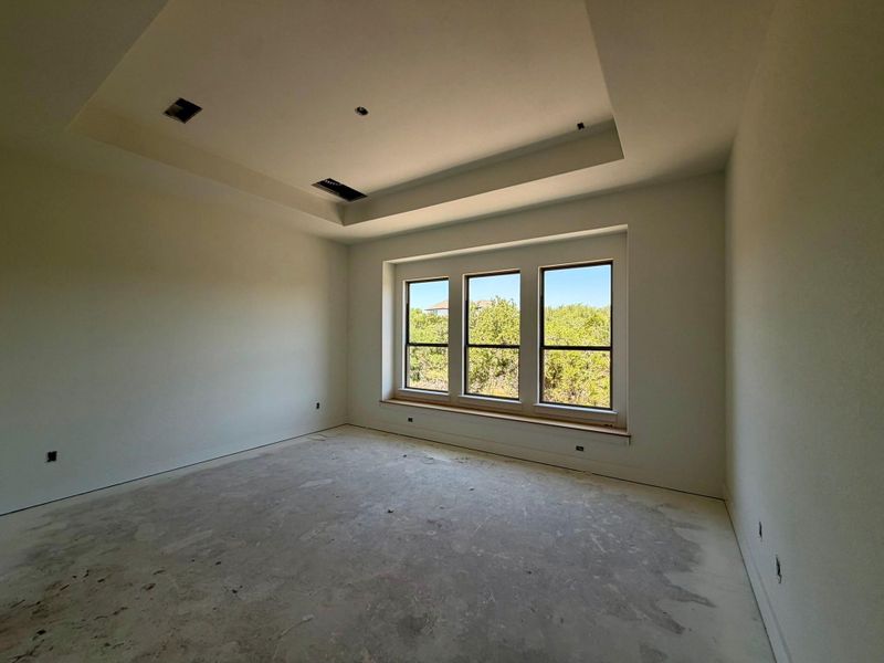 Primary Bedroom with tray ceiling