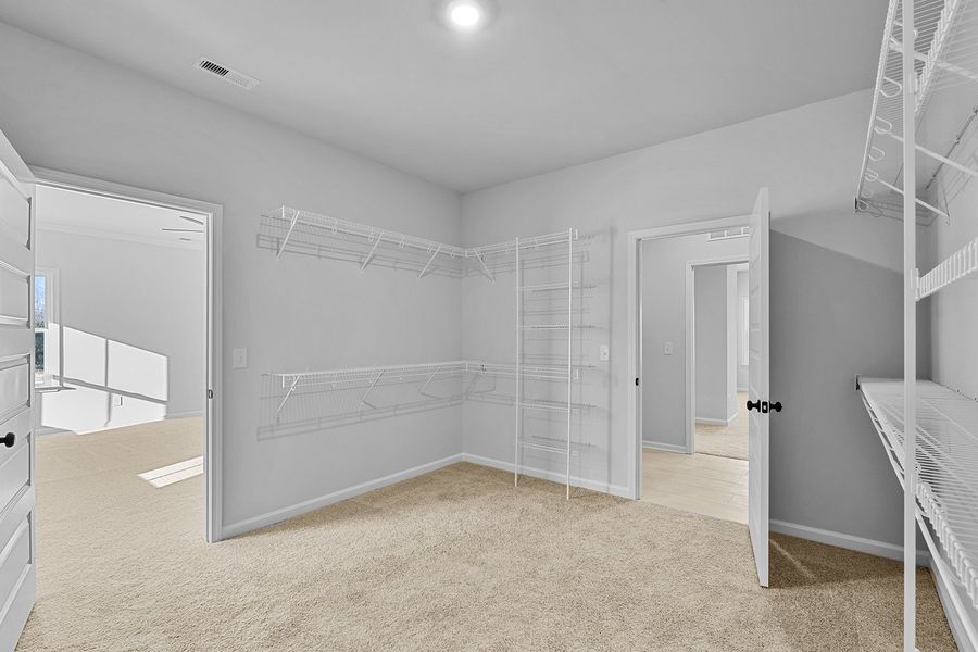 Spacious, unfurnished interior of a new home in Lilah Grove, Summerfield (Image 35).