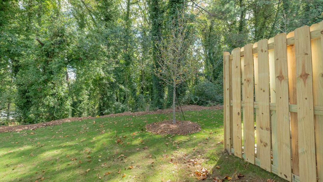 Representative exterior details of a home built from the Norris by D.R. Horton in Benteen Reserve, Atlanta (Image 3).