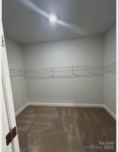 Spacious, unfurnished interior of a new home in Crystal Village, Albemarle (Image 19).