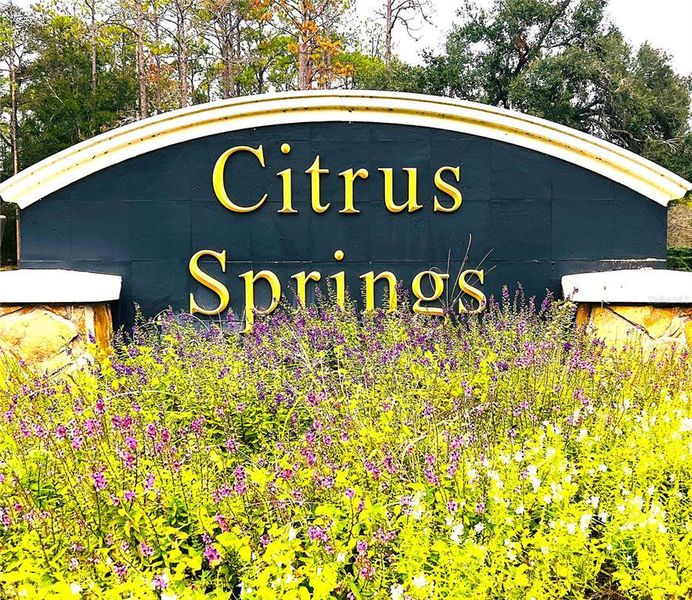 Image 29 of a home in .