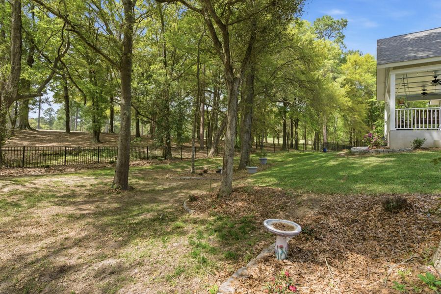 Natural landscape and outdoor views near  in Santee (Image 77).