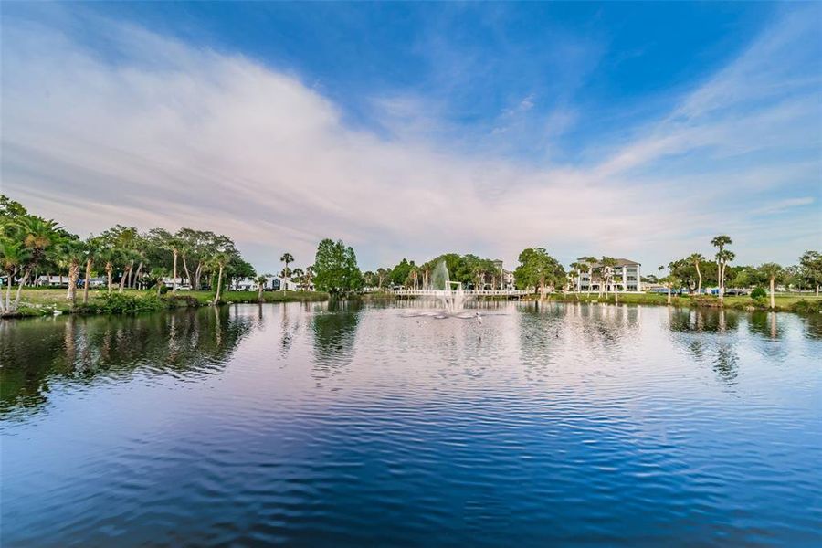 Natural landscape and outdoor views near  in New Port Richey (Image 41).