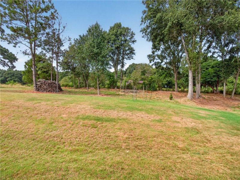 Natural landscape and outdoor views near in Bethlehem (Image 50). Natural landscape and outdoor views near in Bethlehem (Image 50).