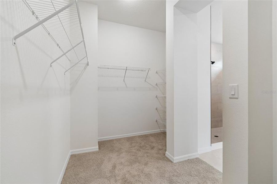 Spacious, unfurnished interior of a new home in Waterset Tradition Series, Apollo Beach (Image 17). Spacious, unfurnished interior of a new home in Waterset Tradition Series, Apollo Beach (Image 17).