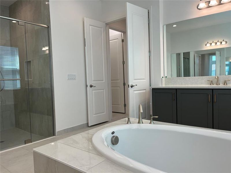 Spacious, unfurnished interior of a new home in , Wesley Chapel (Image 35).