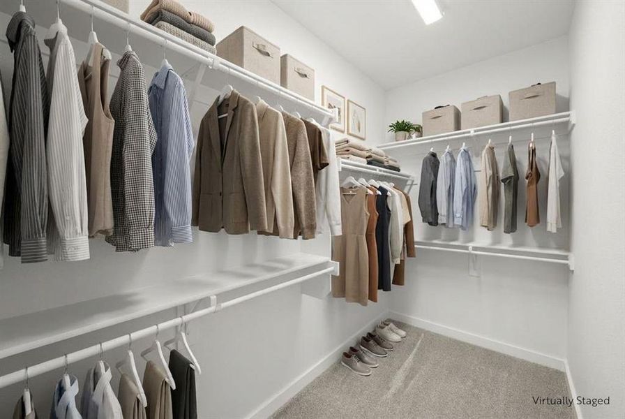 4610 White BUffalo primary closet vs Birch