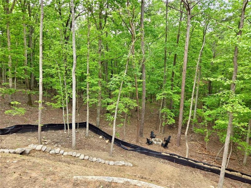 Natural landscape and outdoor views near  in Waleska (Image 26).