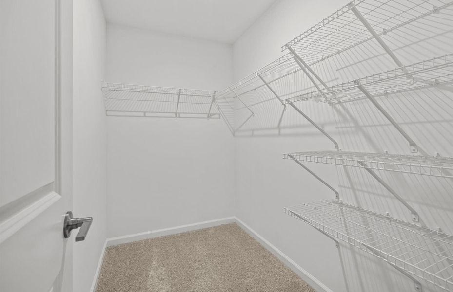 Spacious, unfurnished interior of a new home in Briarwood Reserve, Spartanburg (Image 33).