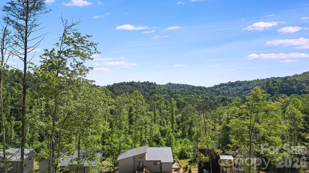 Natural landscape and outdoor views near  in Lake Toxaway (Image 19).