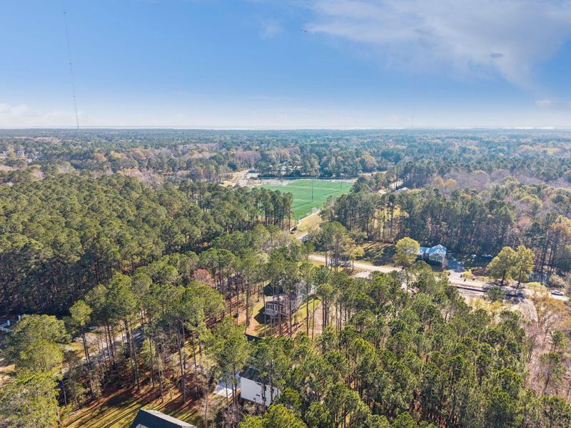 Natural landscape and outdoor views near  in Awendaw (Image 73).