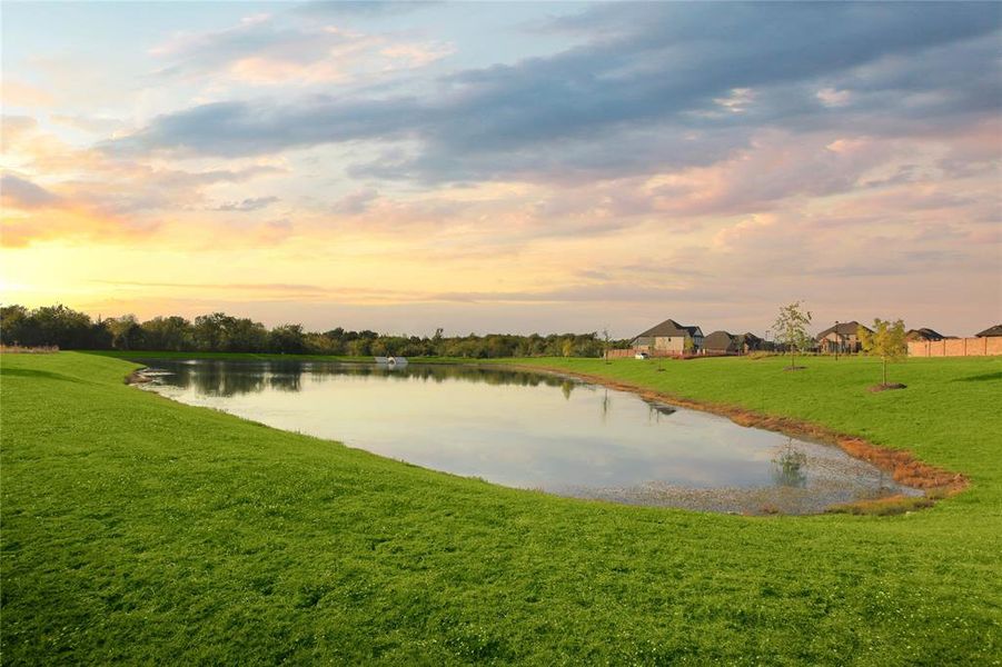 Natural landscape and outdoor views near Monterra in Fate (Image 20).