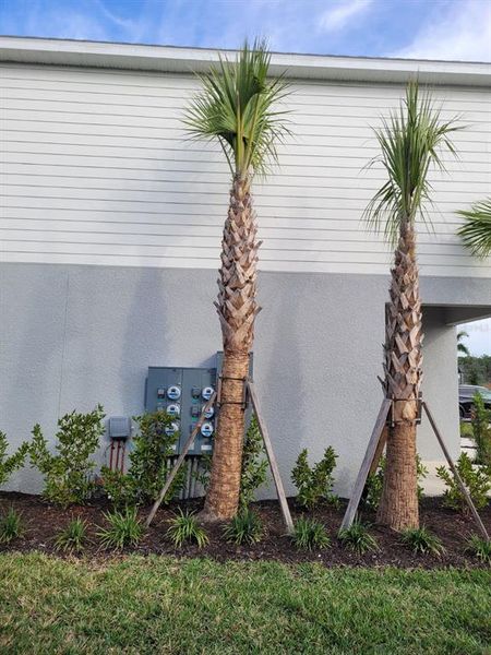 Exterior details and patio area of a home in , Sarasota (Image 13). Exterior details and patio area of a home in , Sarasota (Image 13).