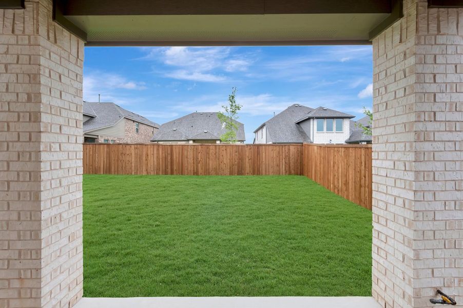 Backyard