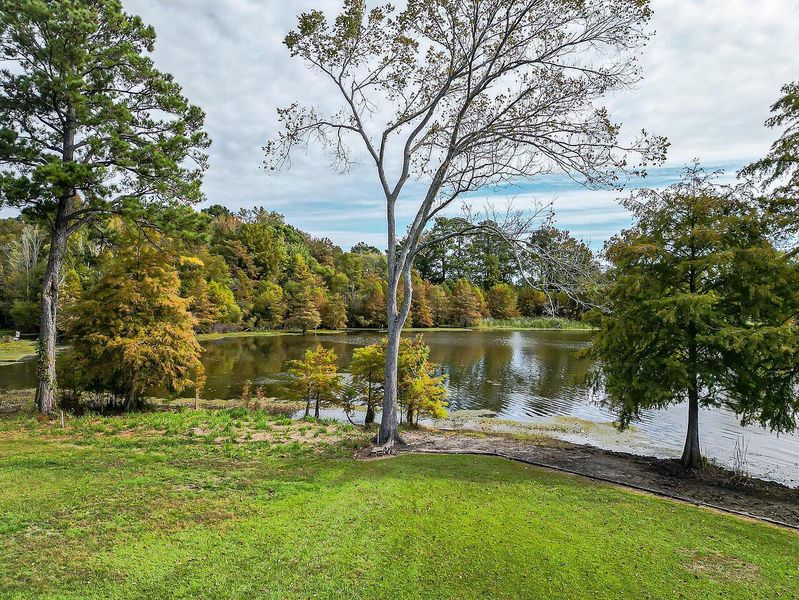 Natural landscape and outdoor views near  in Manning (Image 32).