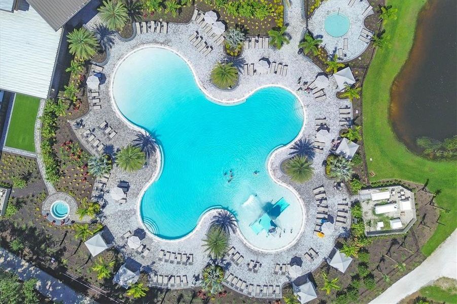 Community amenities in , Sarasota (Image 77).