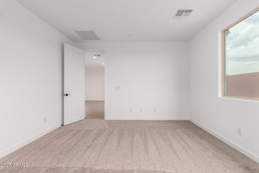 19 - Vogel 19 - Vogel