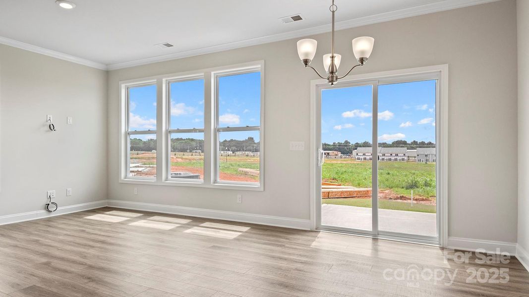 Photos are representative