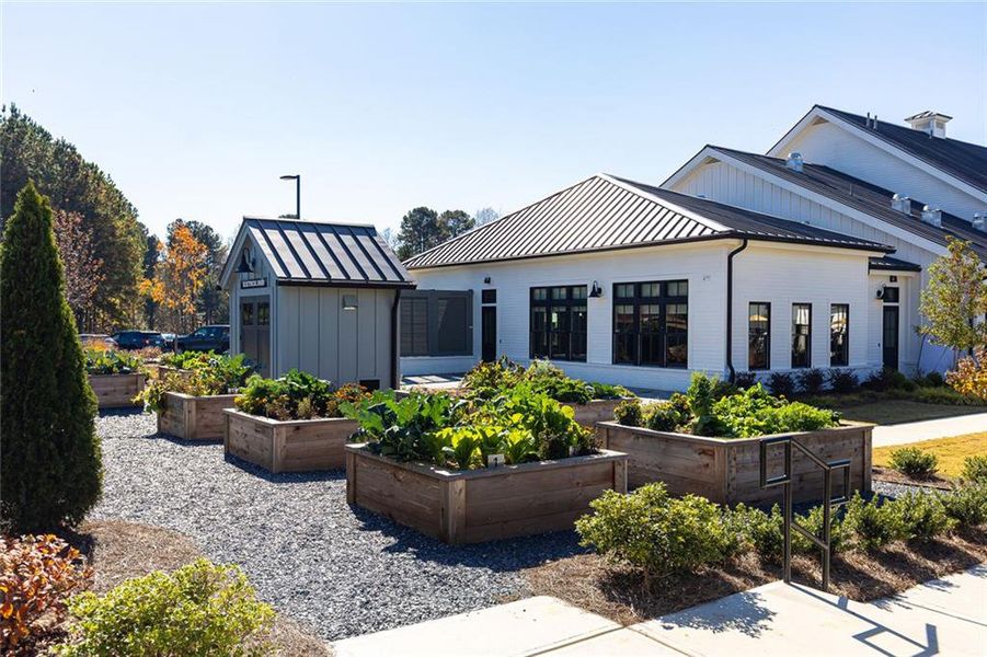 Community amenities in Soleil Belmont Park, Canton (Image 14).