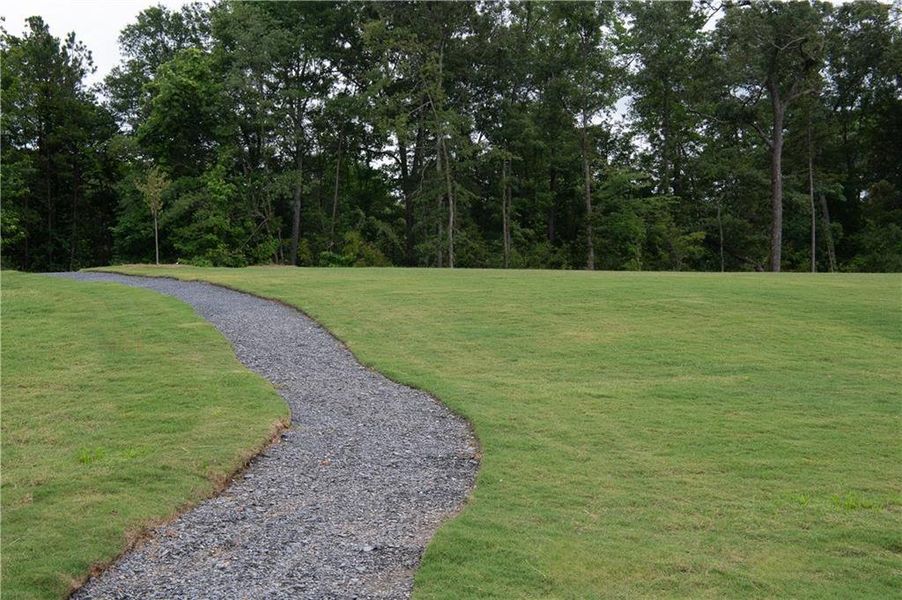 Natural landscape and outdoor views near  in Flowery Branch (Image 24).