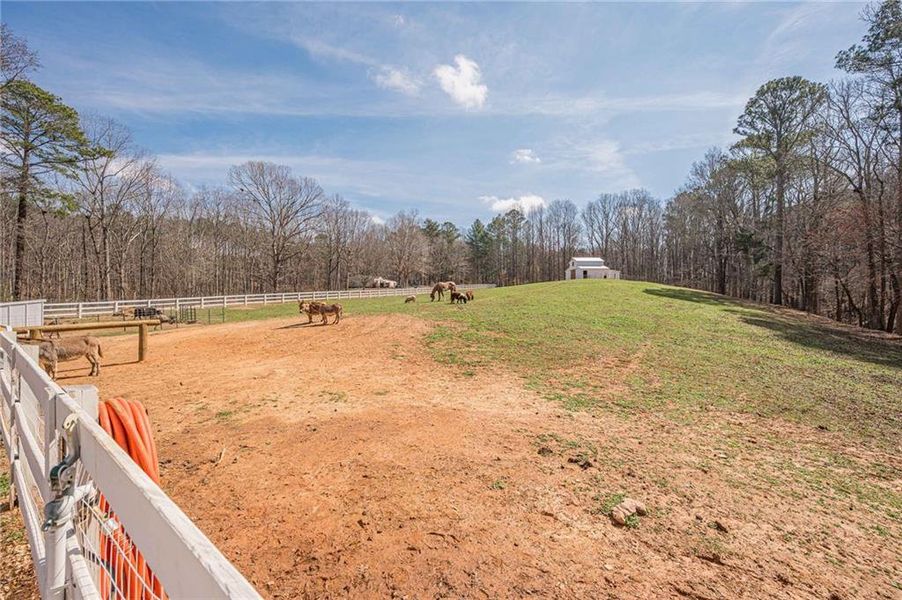 Site preparation for new homesites in , Waleska (Image 58).