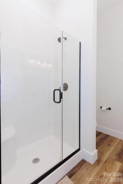 Lower Level Bathroom