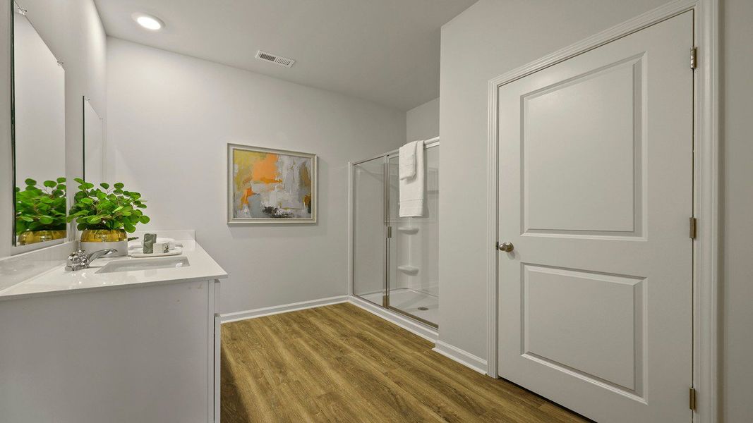 Furnished interior view inside a new home in Pineview North, Summerville (Image 11).